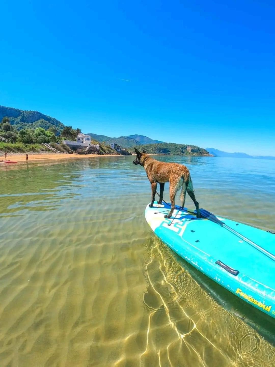 Hotel Plage D'Or جيجل المظهر الخارجي الصورة